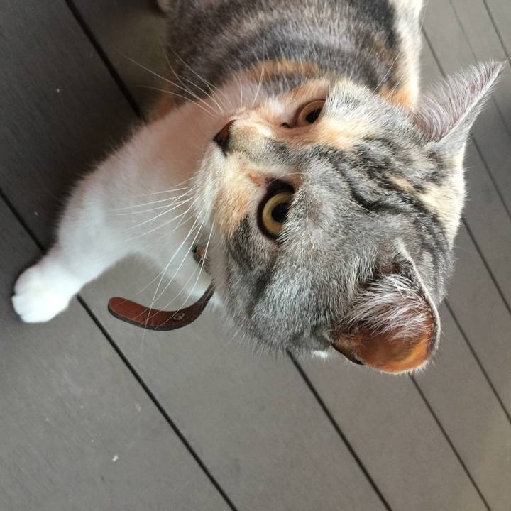 E475f1cd d5e7 4ebb b056 31bba95a1c17 1554539928134