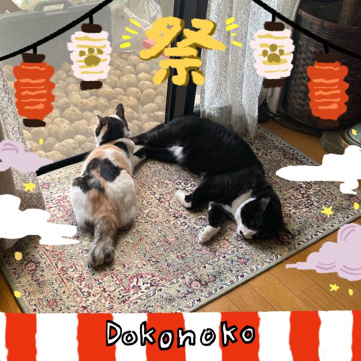 E475f9f4 d8f8 4c49 bbd9 d00563c2e6f1 1723181521341