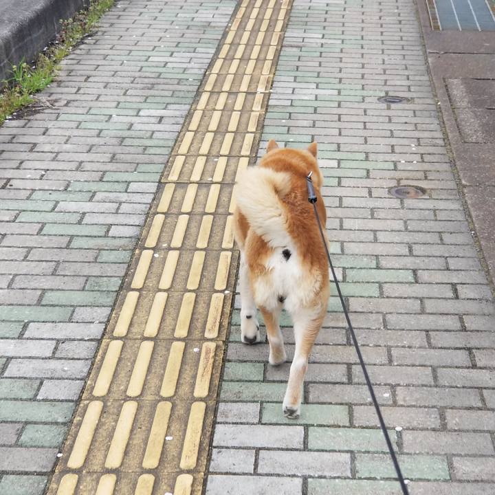 E4760c3e a8dc 480f b884 eec1907db1d6 1745377520824