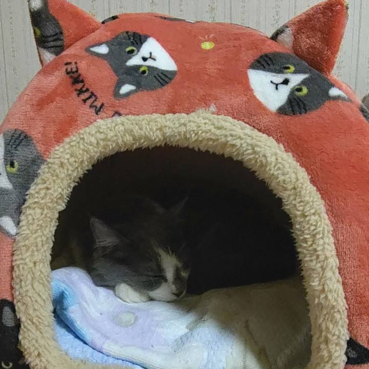 E476160c f0eb 44ae a686 cbcdf2375bae 1571731172509