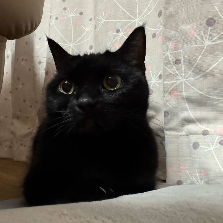 E4761ab7 320d 4ae2 b562 4b8243b6b685 1761997428643