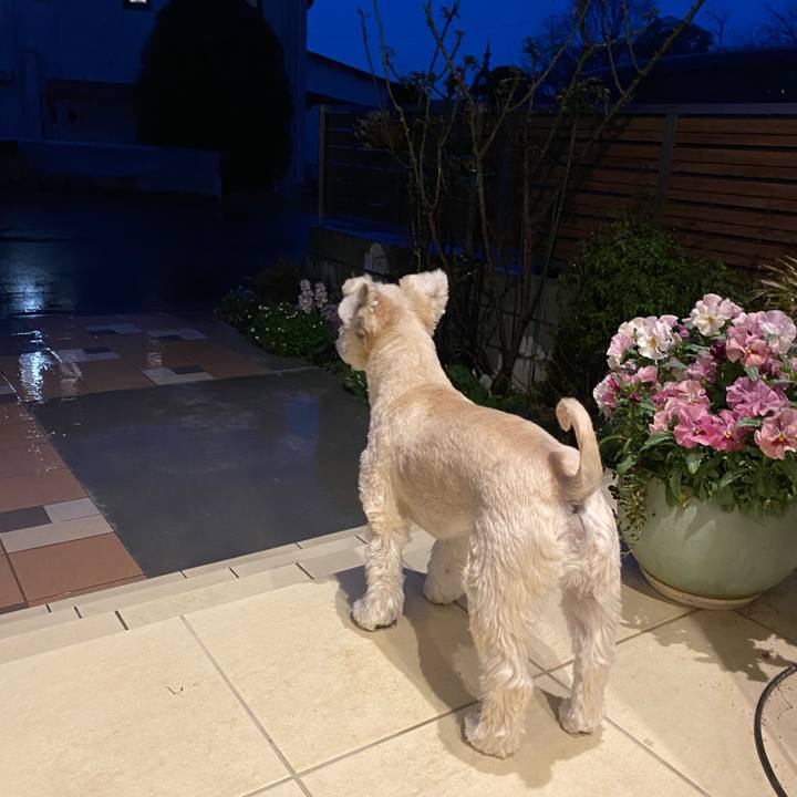 E4762b20 573e 4762 8c9f 57b6154203e7 1709634381784