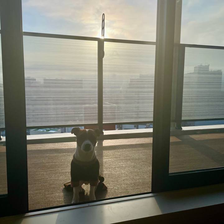 E476319d a108 4cfd ba07 99a81e7d7020 1644619623738