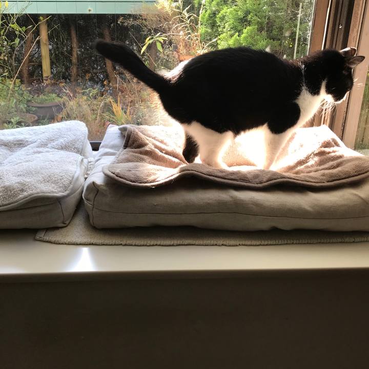 E4763857 7e68 4405 a133 6b10704fab62 1512620221672