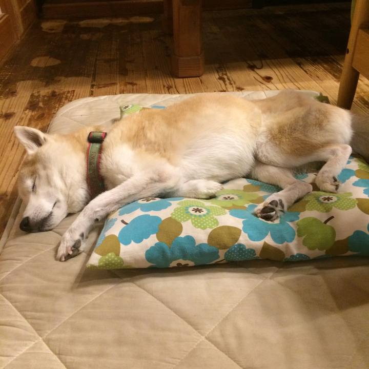 E4764bc0 03af 448c 9e64 d4b7472edc14 1570720045495