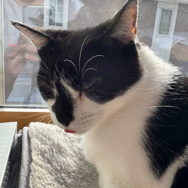 E4764e49 6bd3 4e46 99b9 947fa7910ee2 1759112481444