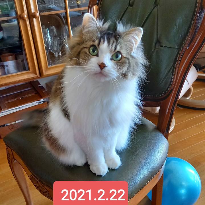 E4766314 349f 4d4e a8ca ed0a026d8a42 1613942906272