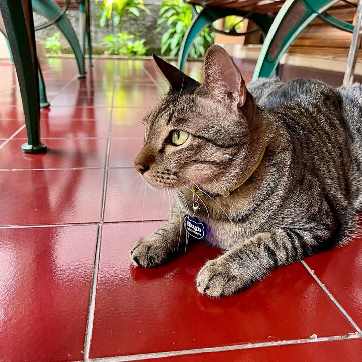 E47691dd 46da 4e45 a9be 823aa37db63a 1763789823754