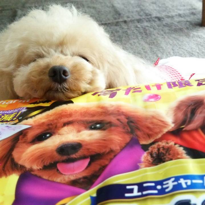 E476d7ec 5249 4067 b37b 5a32c037073c 1537268930801