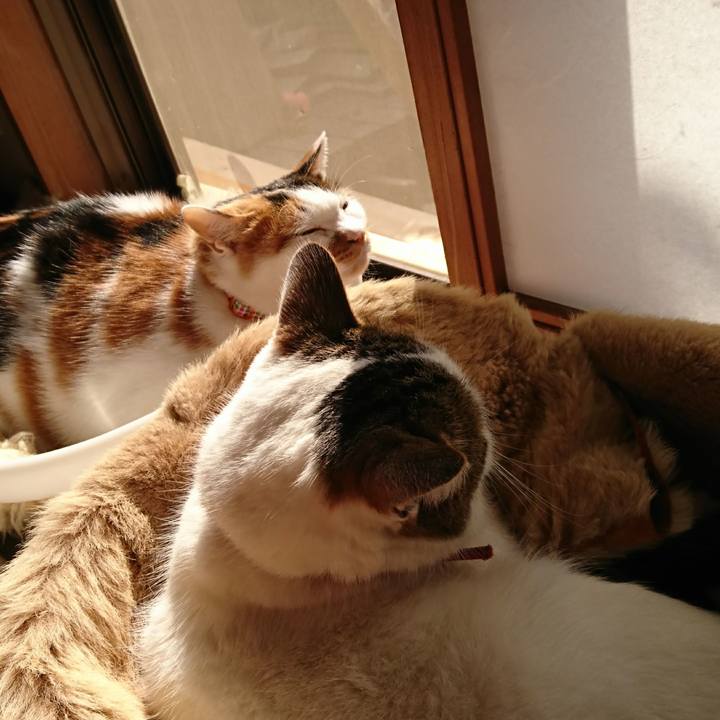 E4770712 6efa 42d5 90ac 98e5b2d685c1 1509759448419