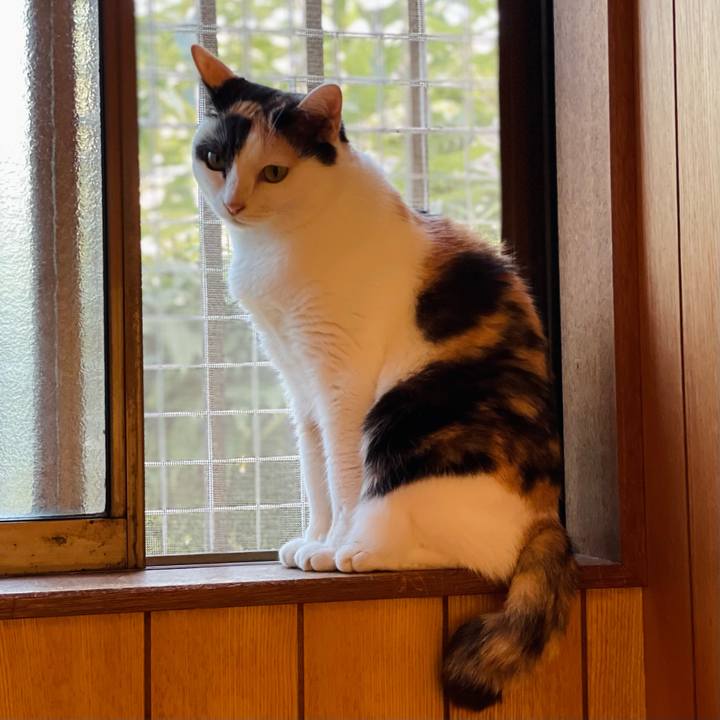 E4772993 3234 4dbc 9cee 120d06106e89 1637203154248