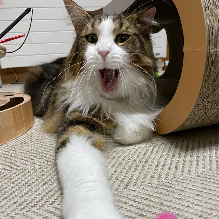 E477620b 6fd1 413e 8e74 084130c6e77a 1655724652916