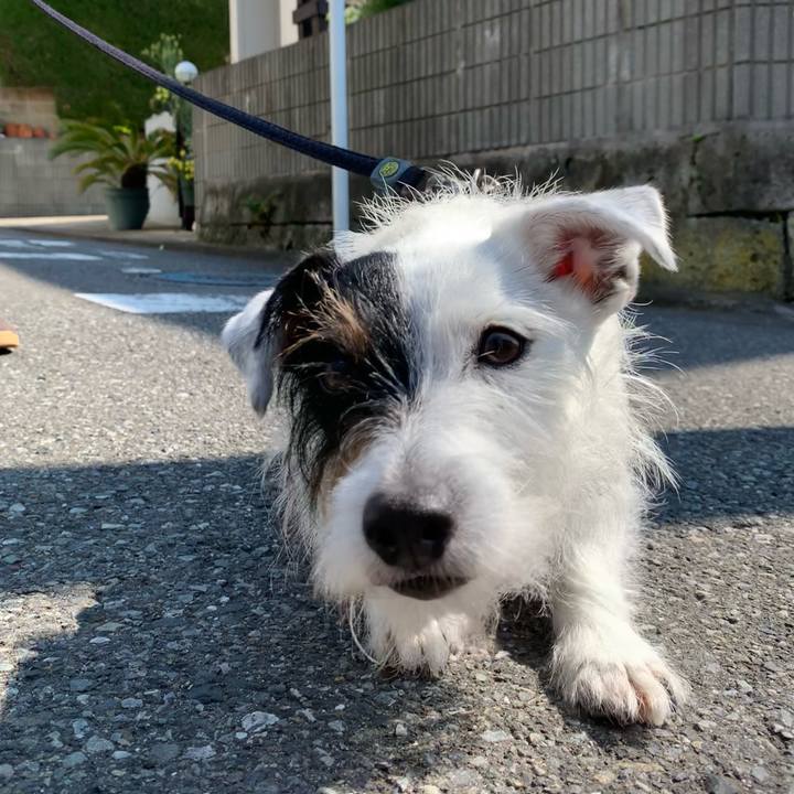 E4776927 6f9f 4604 9cd9 366acd5d3599 1652918264057