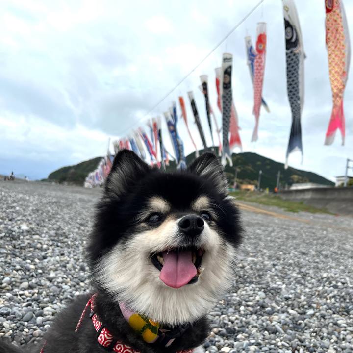 E47778a9 0e55 4935 a3f2 9ea8f5ea821c 1683297279268