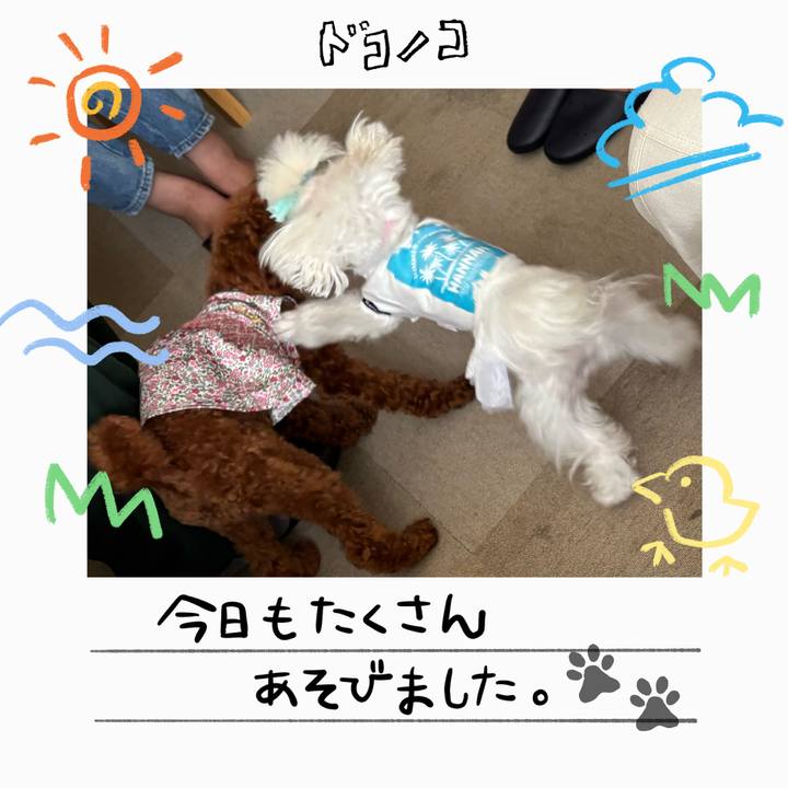 E477eca2 b8ef 4dd5 9d63 783d80fedec2 1755259159016