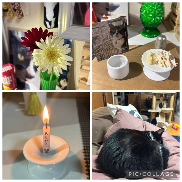 E47806de 14a2 4f7a a006 d8401740c2d3 1761035288991