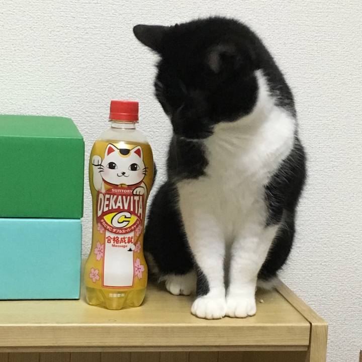 E4787174 69cc 4795 b8ad c8a590f60273 1548001995024