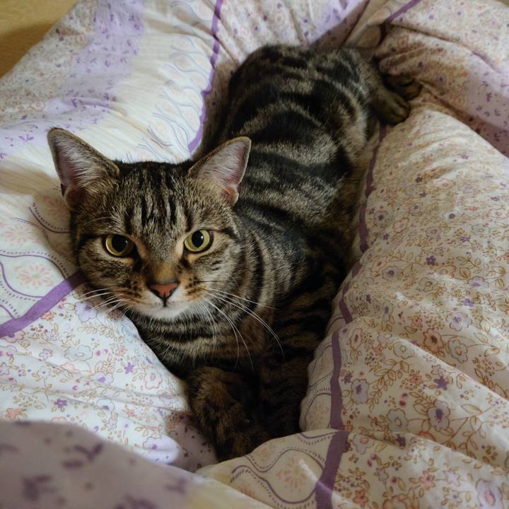 E4788720 3ecd 4c8f 862f 8bd4790f8afe 1649426056840