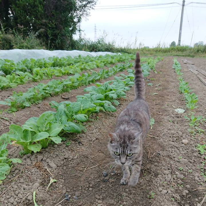 E478aeff ee34 4892 8d93 5d80085e1ce7 1569708387672