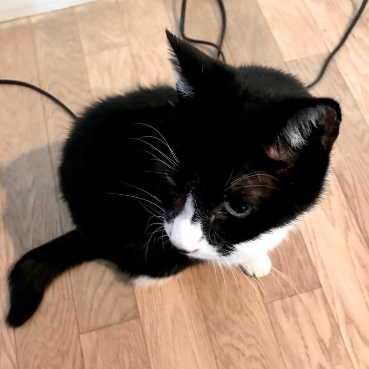 E478ba0a 55a0 429a a66b a34550182fe2 1577015997161