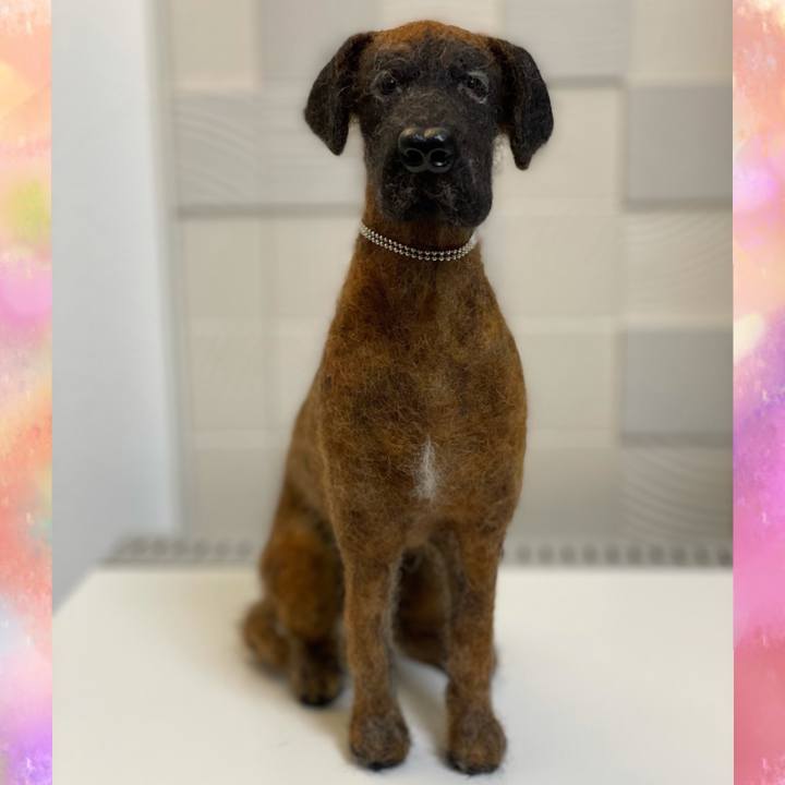 E478d5e8 0a85 4ac7 bf4a dfe09ecf0c58 1614508713093