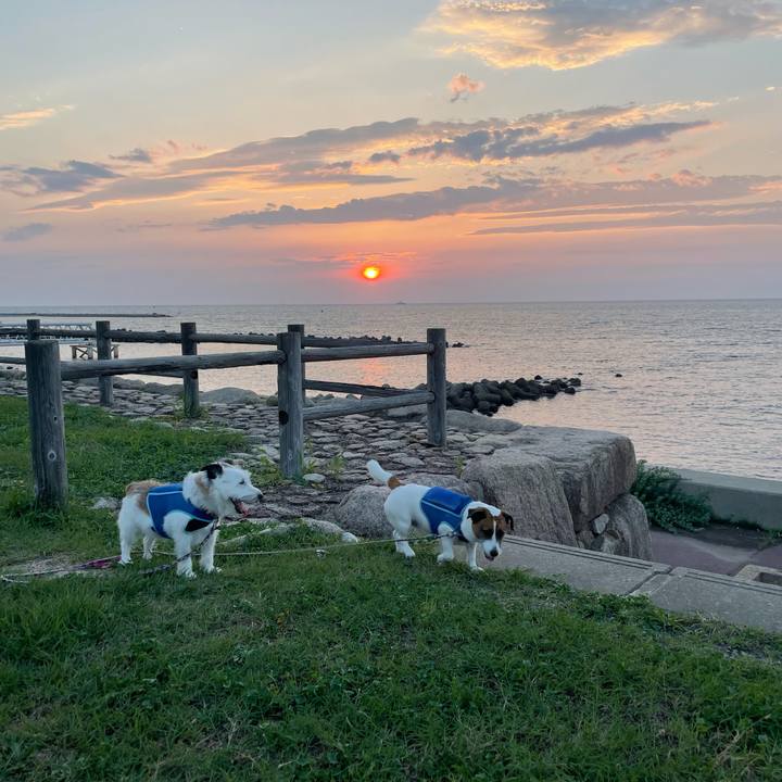 E478fa28 bb57 4299 9560 c5e722238d95 1755614677161