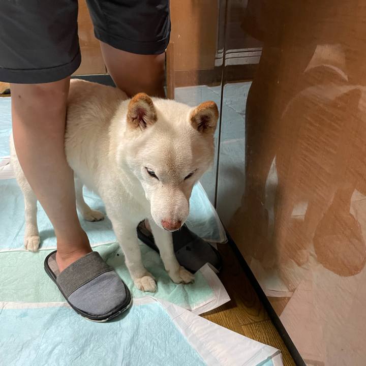 E4790977 019d 485e 9ff0 68865dae7d6b 1634048565991