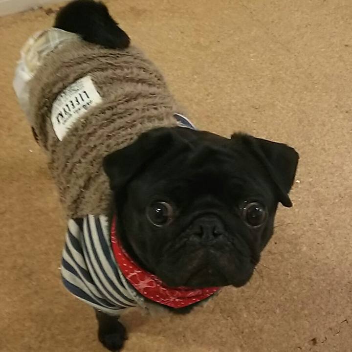 E4790d2f b05d 4add 984b 3620664c9600 1546132384620