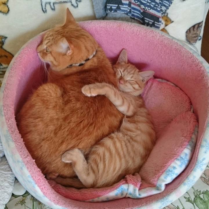 E479af50 b934 4aa1 844d 03b34e24075b 1543560844637