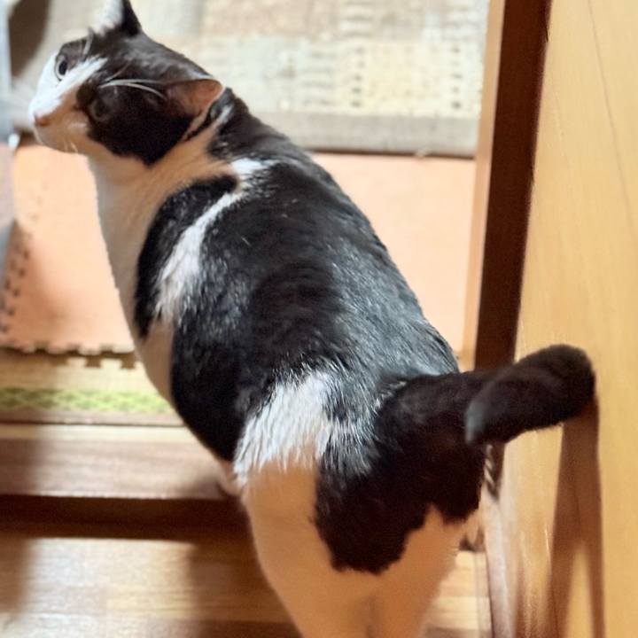 E479be3b a88f 47f0 a660 c7cb5abaa353 1757298447040