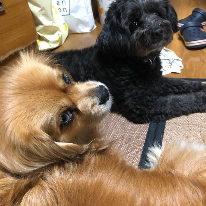 E479c31d 852a 4ff8 a5ce 42e1cae9eece 1557145441058