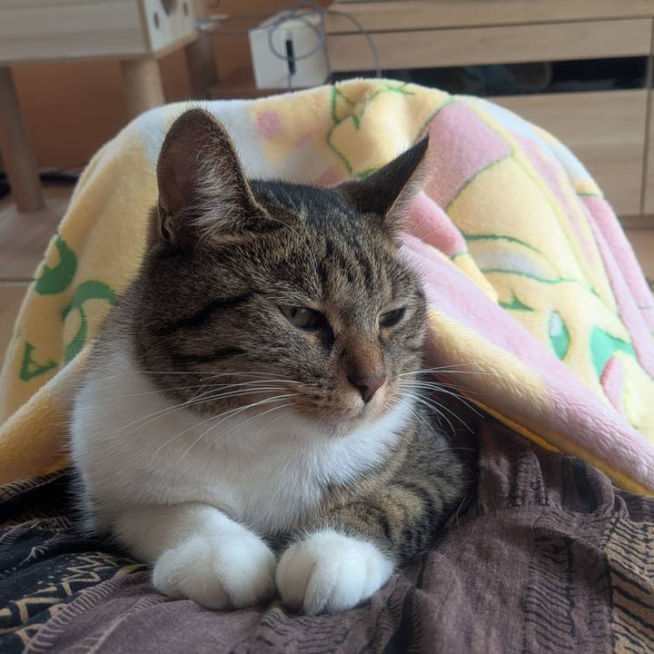 E479eac1 1eb3 46c3 b2e2 1a948f03cc20 1759114914286