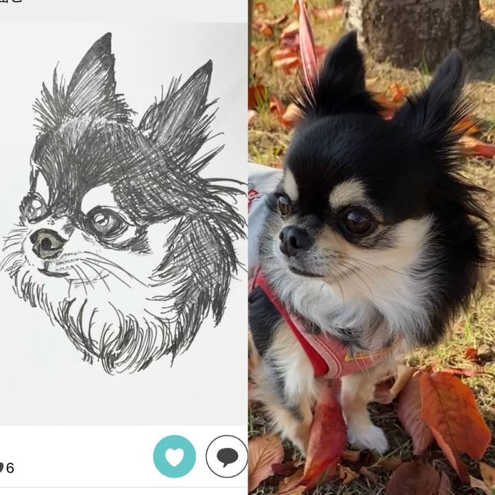 E47a0126 a40b 45fe b7c5 18f46527d6a4 1637215683498