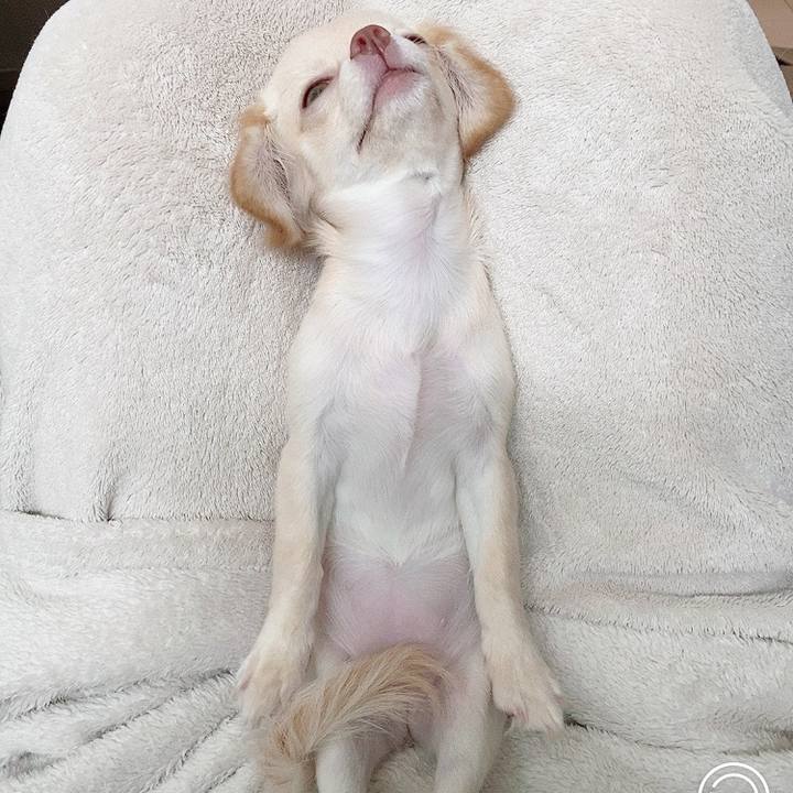 E47a04a3 db31 40bc 8439 3614c2ab78fb 1594791067967