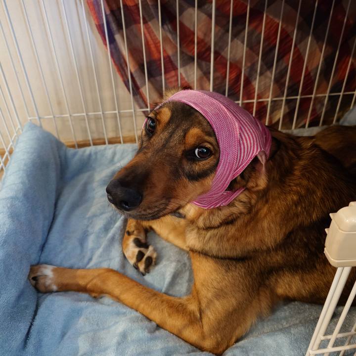 E47a277a ab39 43ce 8a09 759b71430bfb 1742287121460