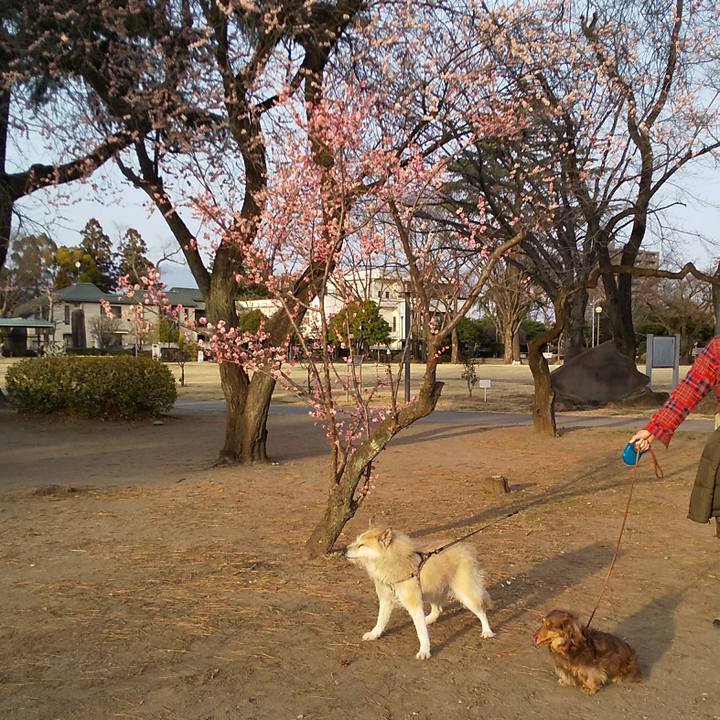 E47a3b92 0732 4ea6 a8a6 521fde6faba4 1583053288984