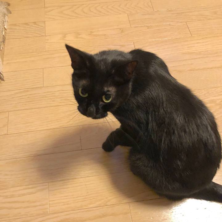 E47a4ec9 20f9 42ea 8b80 a7e91a65e8af 1560686032767