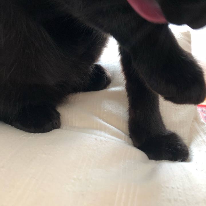 E47aa17e e1ff 4c31 8960 e1dd985102d5 1543119728107