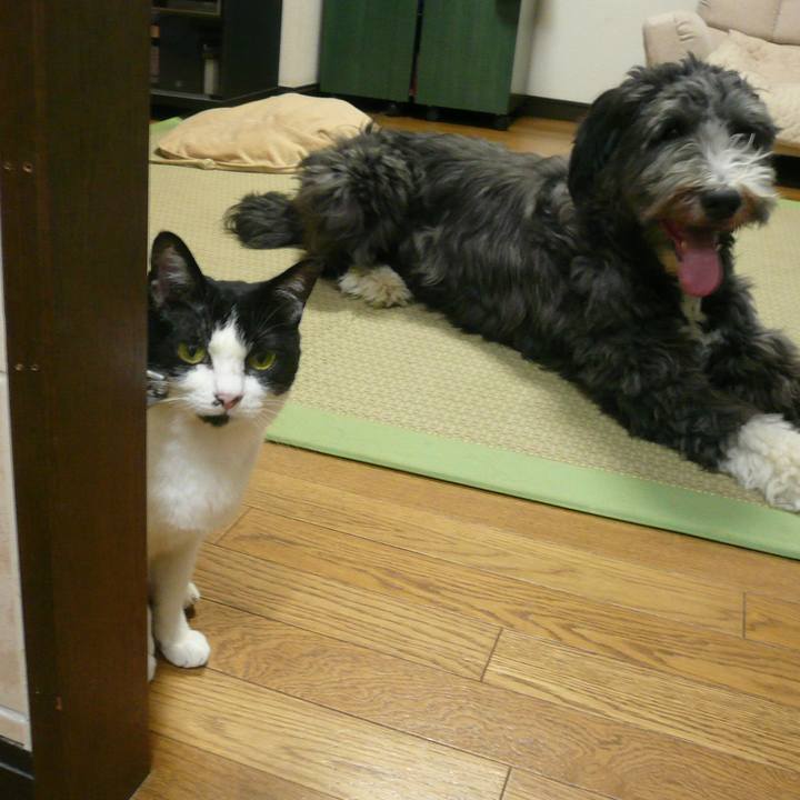 E47aad4a 12e0 457e 9c00 65abf9fb6088 1615873158562