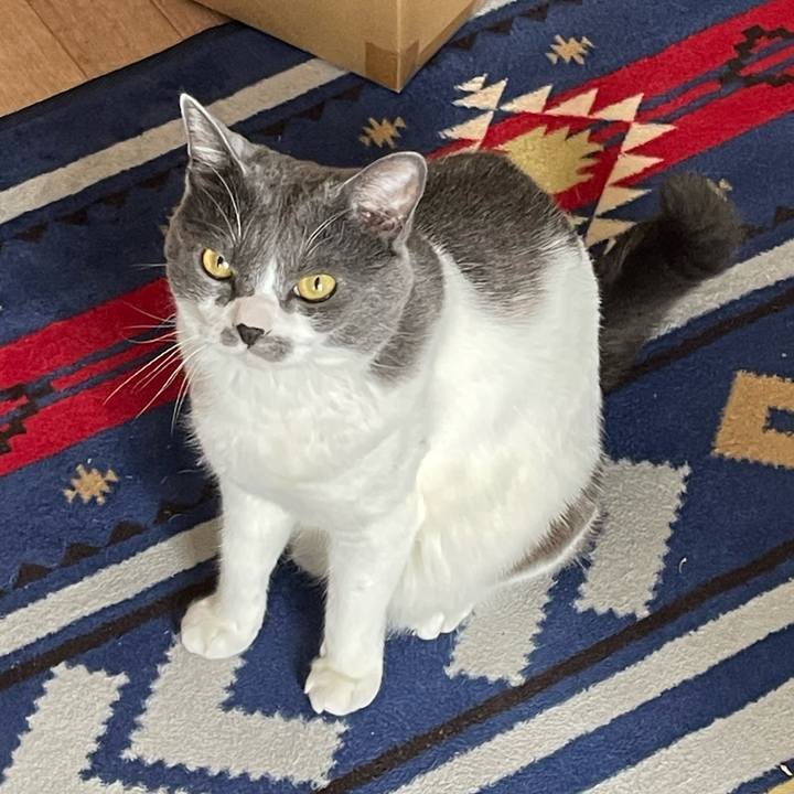 E47abb34 2aec 4774 84ac 0e670121c30c 1657249334300