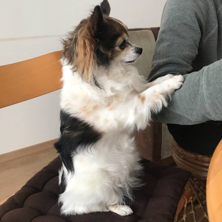 E47abc1b abe8 4136 99ef 52a77546ab9d 1615873015301