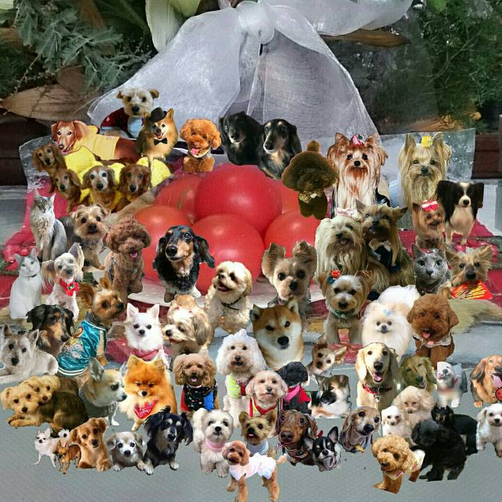 E47b35b1 b69e 4c2a b856 5d6f5496c215 1543854283109