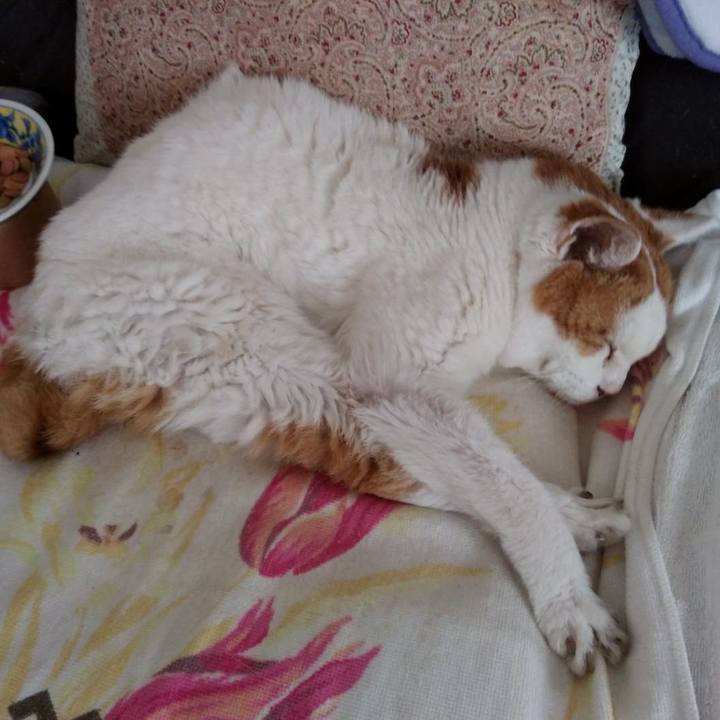 E47b4368 630f 47d5 a54c 44c1dc4f8800 1596599536915