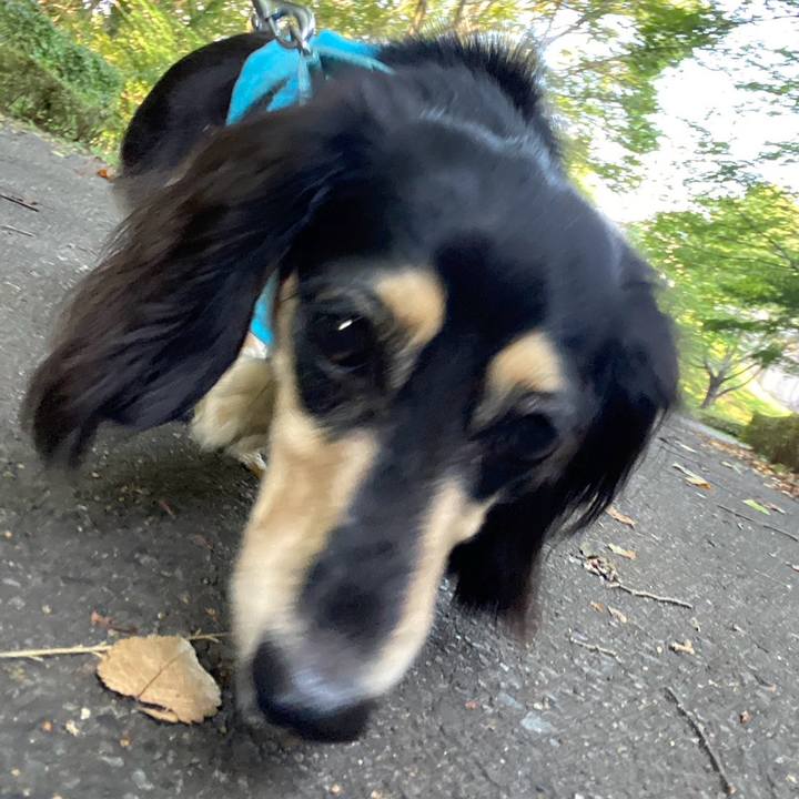 E47b44ce 66cc 4bb5 ad88 6d4048bca217 1723526067879