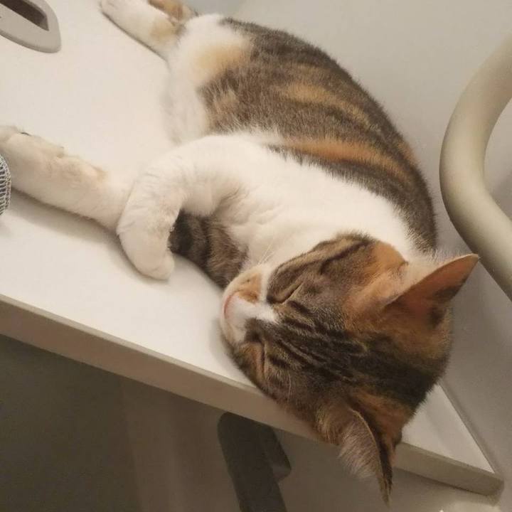 E47b473c dd3c 40b4 825a 670774b06cd2 1727050419735