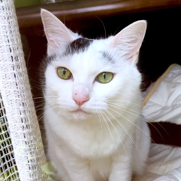 E47b9d58 9b06 4963 8d1b 2ffeaac80482 1565064321701