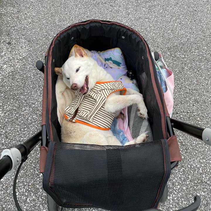 E47bbb25 c3d2 44a9 b319 3d6703327139 1655044016313