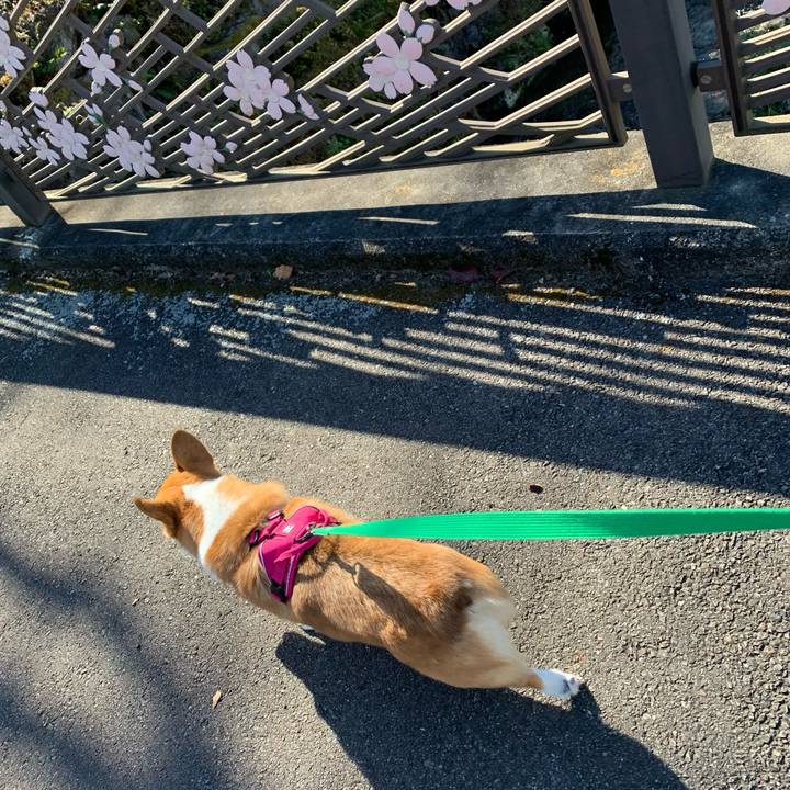 E47be54a fa2d 458e b505 a6a57d12bf7a 1636077729314