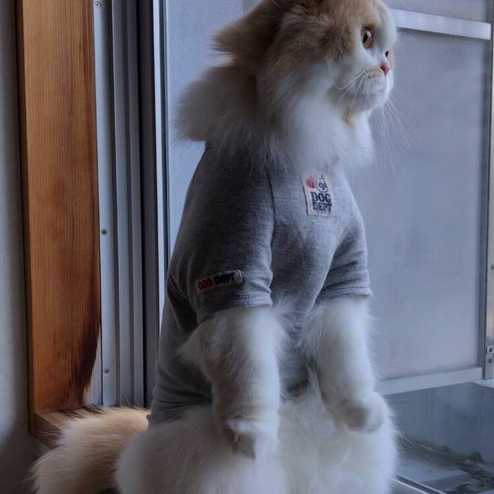 E47bfc0e 5c22 48c8 91ce d1698157969a 1552119670079