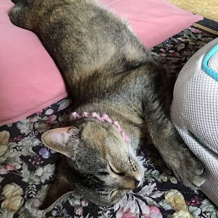 E47c2db5 e3d6 4a42 b700 312dadc78e24 1591254396288